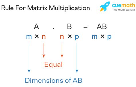 Matrix Multiplication Calculator - Examples, Facts