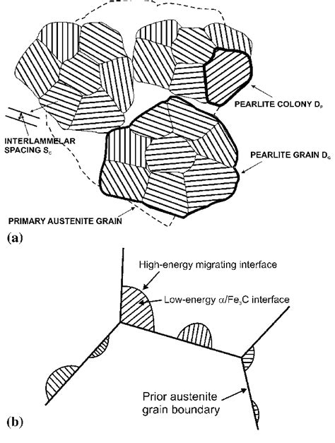 Pearlite Grain