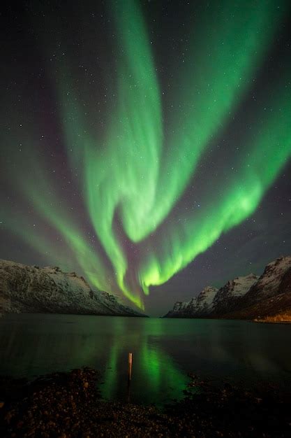 Premium Photo | Aurora borealis in norway