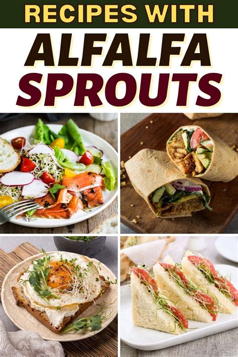 17 Easy Recipes with Alfalfa Sprouts - Insanely Good