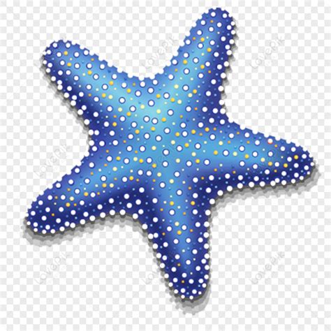 Blue Starfish, Starfish Logo, Fishing Stars, Material PNG Image And Clipart Image For Free ...