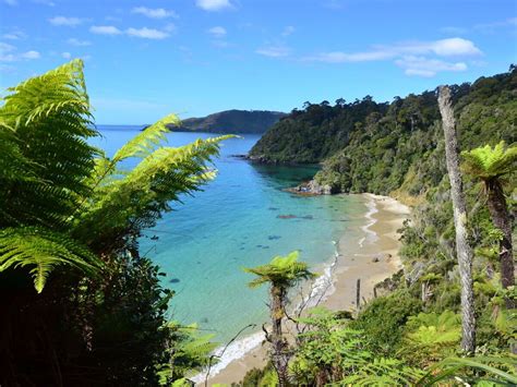 Stewart Island, New Zealand: What to Do, Where to Go, and Where to Stay