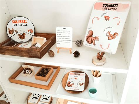 Preschool Squirrels Theme - Preschool Activities Nook