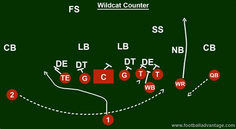 Wildcat Offense (Coaching Guide With Images)