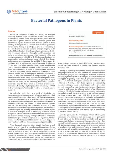 (PDF) Bacterial Pathogens in Plants