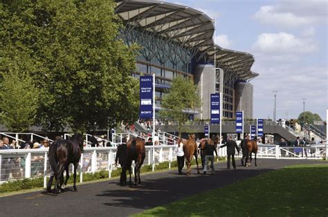 Ascot Racecourse Redevelopment | ProTenders