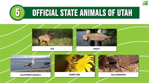 Discover The 5 Official State Animals Of Utah - A-Z Animals