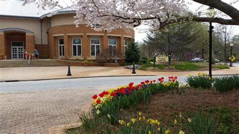 Smyrna Public Library - 11 Photos & 14 Reviews - Libraries - 100 Village Green Cir SE, Smyrna ...