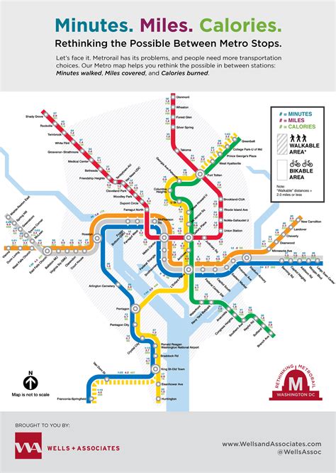 Rethinking DC Metrorail: Walking, Biking, and Burning Calories