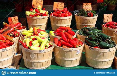 Hot Peppers Varieties Pimientos Choriceros, Stock Photo - Image of chili, chilli: 229942566