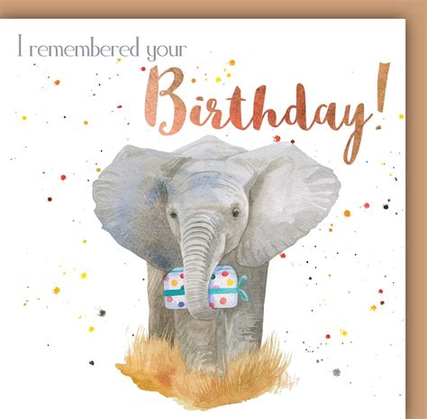 Elephant Birthday Card: Amazon.co.uk: Office Products