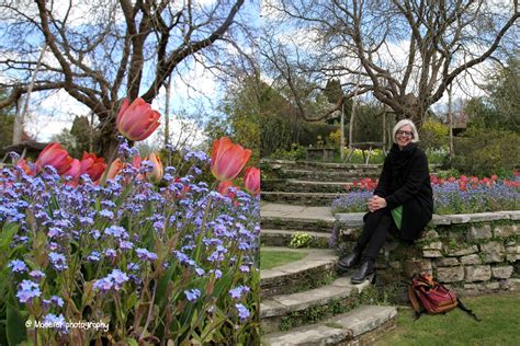 Madelief: In the spring garden