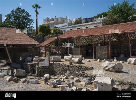 Mausoleum At Halicarnassus Ruins