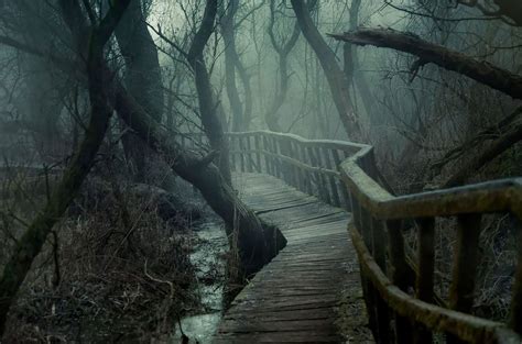 This Hidden Chilling Forest Path Looks Like A Trail To Mordor – Design You Trust | Dark ...