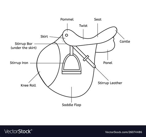 Black line saddle parts names Royalty Free Vector Image