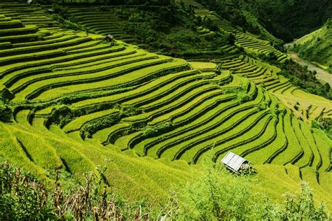 Terrace Farming Near Me - Farm House