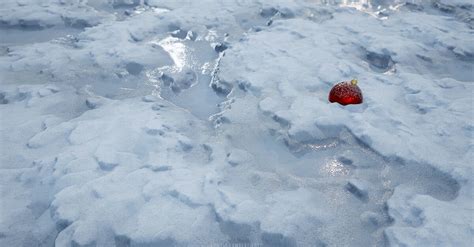 ArtStation - Melting Snow | Breakdown