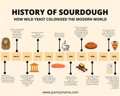 The History of Sourdough Bread - The Pantry Mama