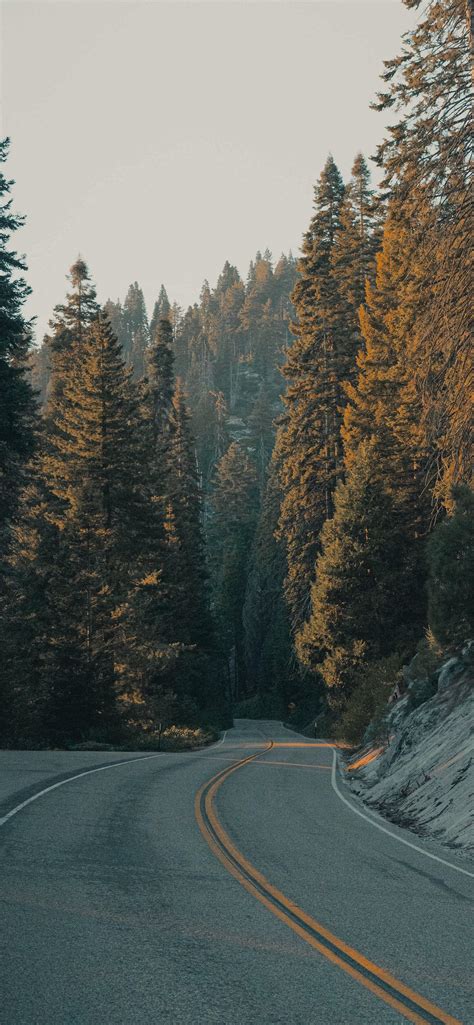 Scenic Roadway : r/iphonewallpapers