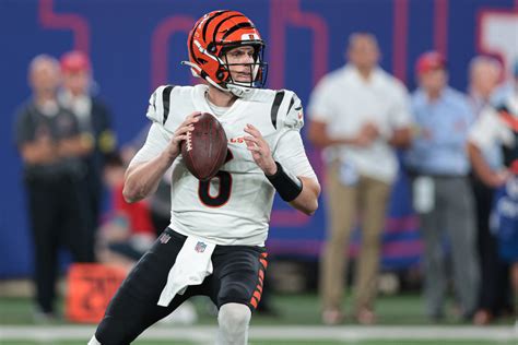 Bengals Training Camp Battle: Backup Quarterback