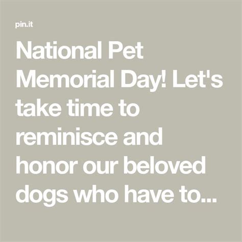 National Pet Memorial Day! Let's take time to reminisce and honor our ...