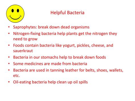 PPT - Helpful and Harmful Bacteria Graphic Organizer PowerPoint Presentation - ID:2637480