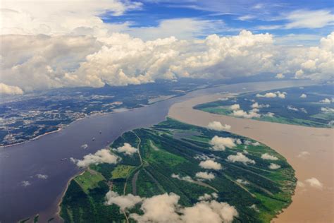 The Amazon River: High fish abundance in the confluence of two large rivers | Dr. Ryota Nakajima