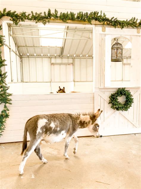 How to Decorate your Barn for Christmas - Thermaland Oaks