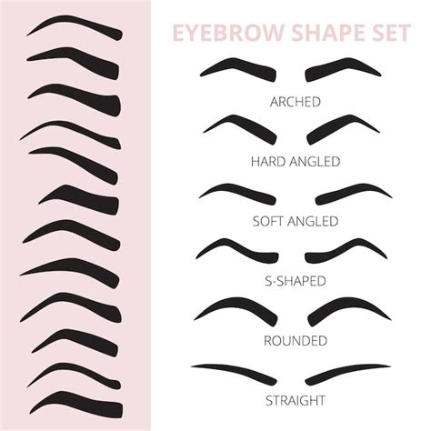 Premium Vector | Eyebrow shape set.