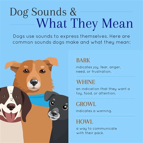 Dog Sounds and What They Mean | Dog sounds, Frustration, Dogs