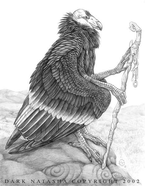 Condor by darknatasha on DeviantArt