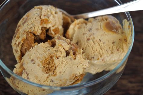 No-churn biscoff and salted caramel ice cream – BakedByH