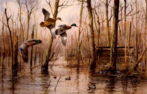 Waterfowl Paintings by Jim Killen a Waterfowl and Hunting dog artist