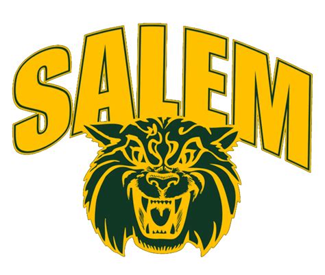 Salem Attendance Center Wildcats Girls Volleyball | Tylertown, MS - BVM ...