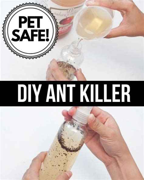 Diy Ant Spray Killer : Natural Homemade Insect Sprays and Traps / 1000 ideas about ant killer ...