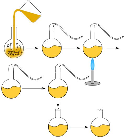 O experimento de Louis Pasteur. | Bio Nota 10