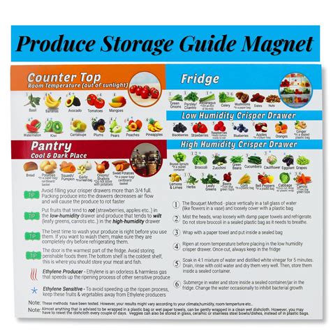 Buy Produce Storage Guide Magnet - How to Store Food Magnet for The Fridge, Fruit & Vegetable ...