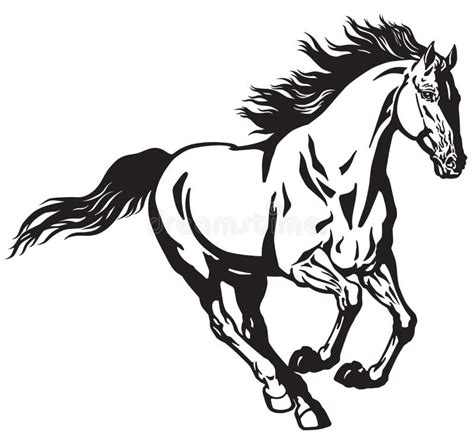 Running horse black white stock vector. Illustration of strong - 35226180