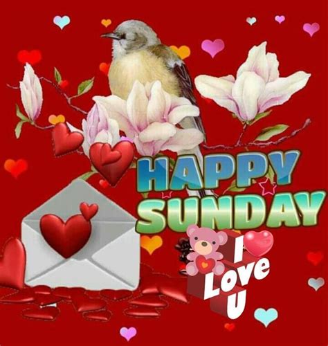 I Love You, Happy Sunday Pictures, Photos, and Images for Facebook ...