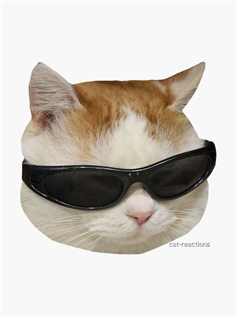 "Sunglasses Cat Meme #4" Sticker for Sale by cat-reactions | Redbubble