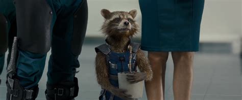 Image - Rocket holding Groot.png - Marvel Cinematic Universe Wiki