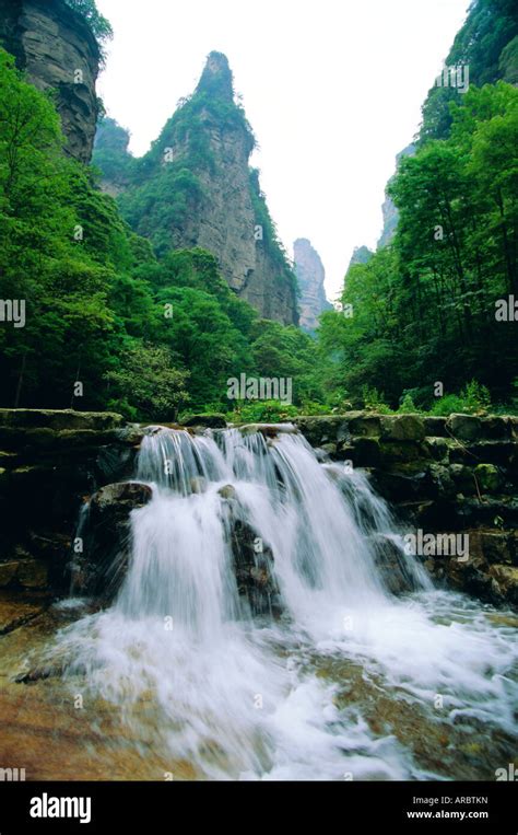 Limestone outcrops, forests and waterfalls of Zhangjiajie Forest Park ...