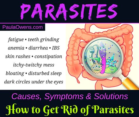 Parasites: Causes, Symptoms & Solutions - Paula Owens, MS