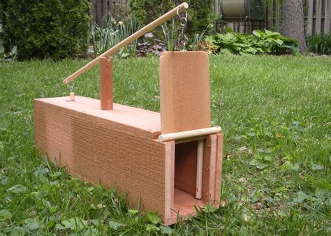 How To Build A Box Rabbit Trap - Off The Grid News