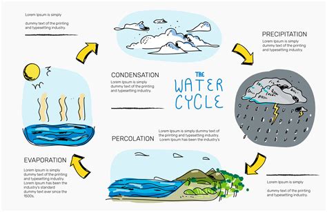 Water Cycle Hand Drawn Infographic Vector Illustration 207635 Vector ...