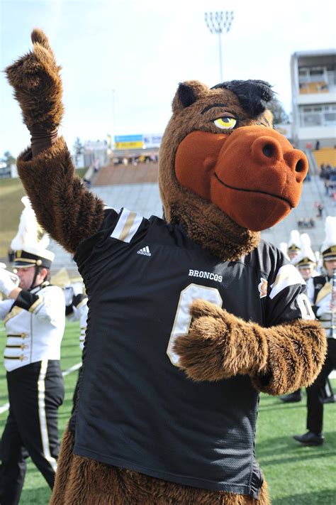 Buster Bronco - WMU Mascot | Western michigan university, Kalamazoo michigan, Broncos football