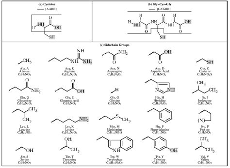 Cysteine R Group