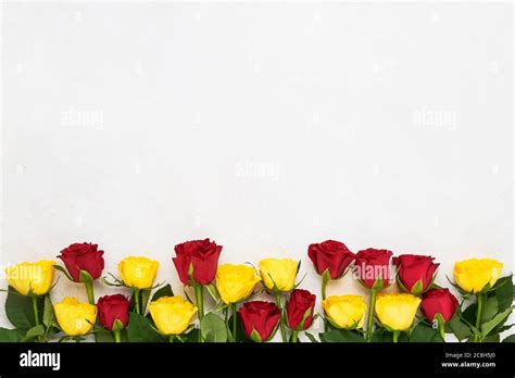 Red and yellow roses border on light background. Mothers day, Valentines Day, Birthday ...