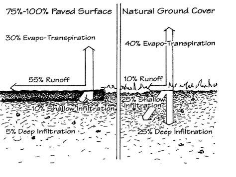 Stormwater Problems and Solutions - Phinizy Center for Water Sciences