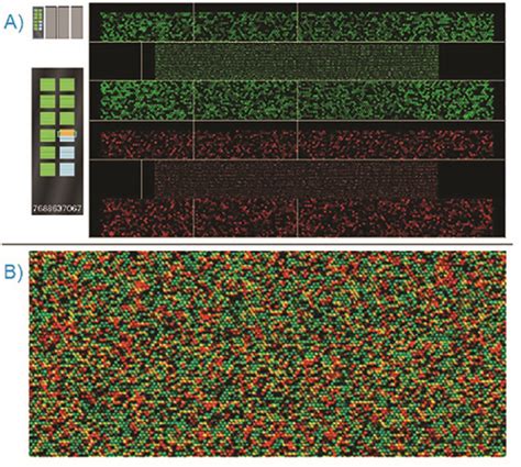 Infinium Assay for Large-scale SNP Genotyping Applications (Video) | JoVE